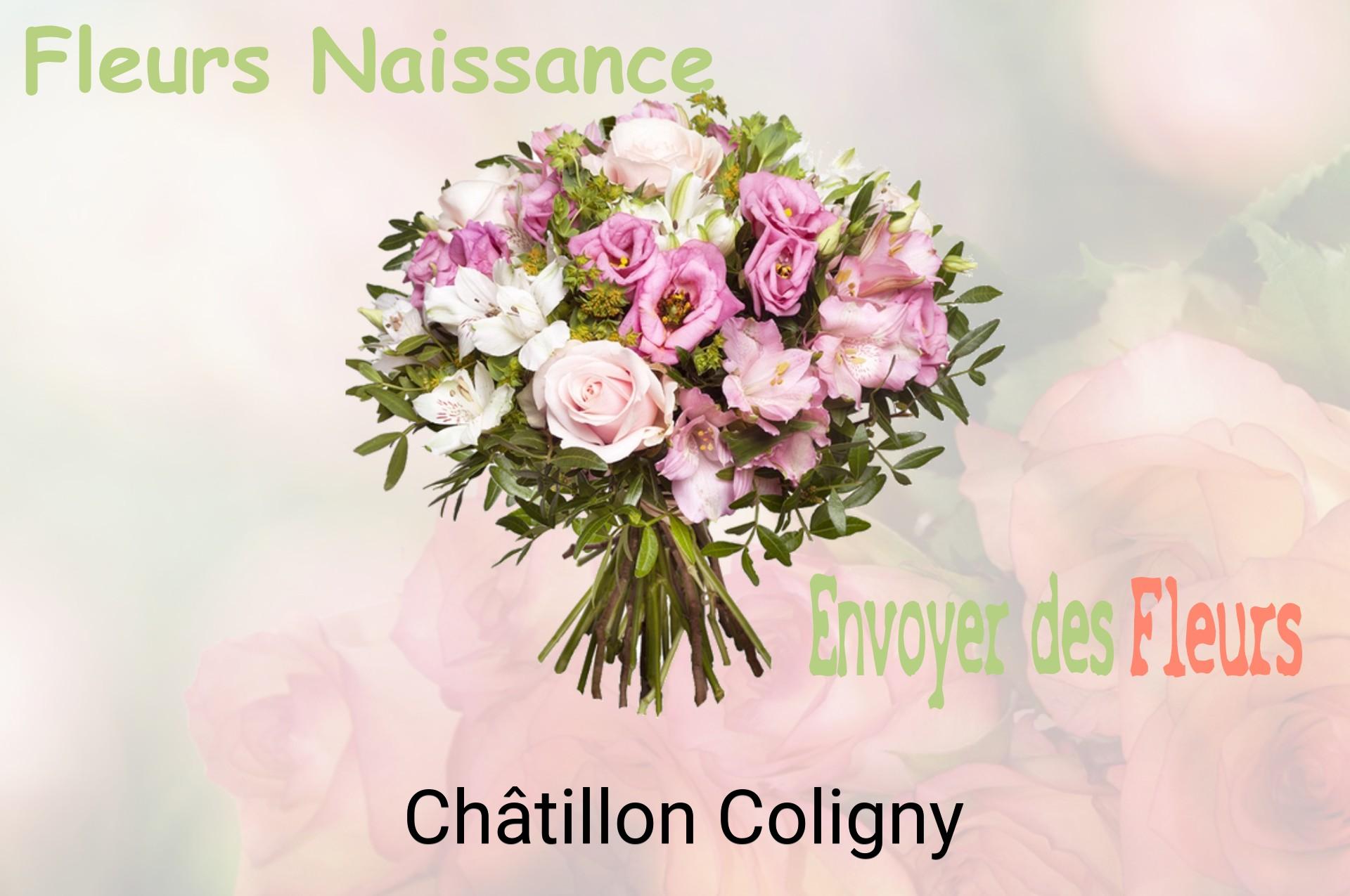 Bouquet de fleurs de naissance livré à Châtillon-Coligny