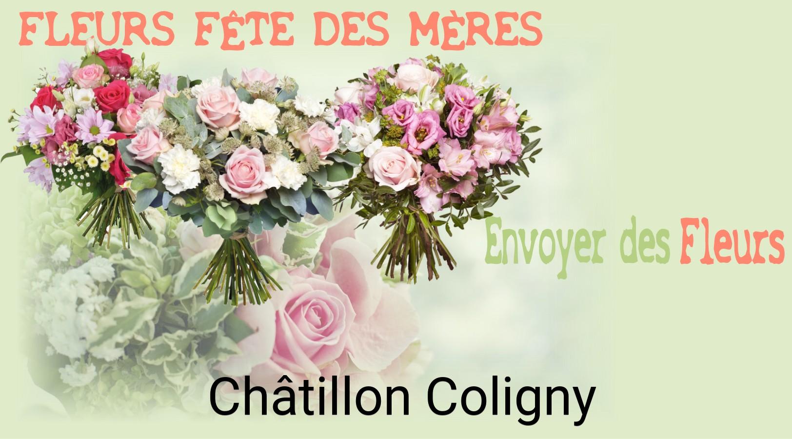 Bouquet de Fête des Mères livré à Châtillon-Coligny